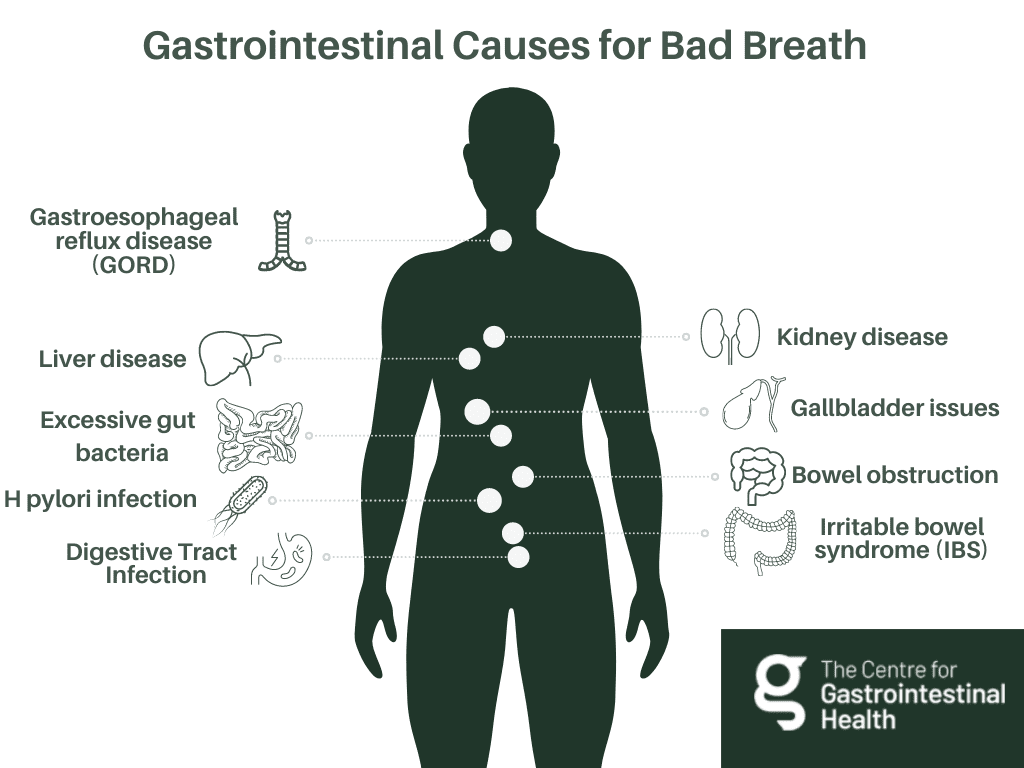 Gut breath potential causes (conditions and diseases).