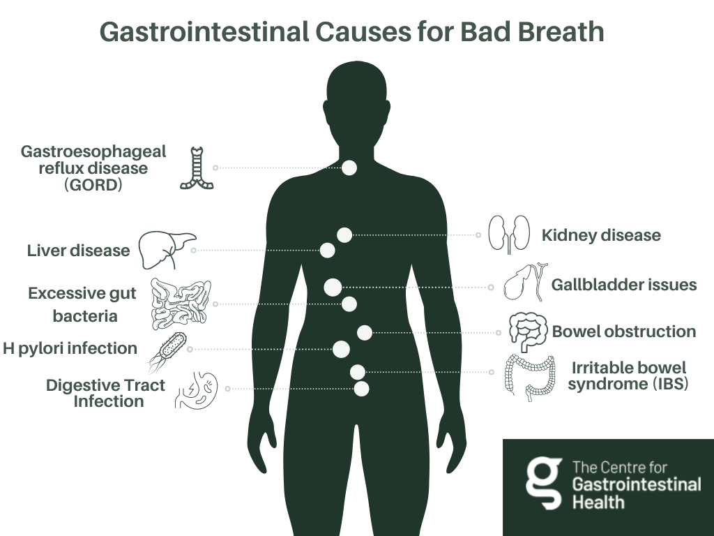 Gastrointestinal Causes for Bad Breath Gut breath potential causes (conditions and diseases).